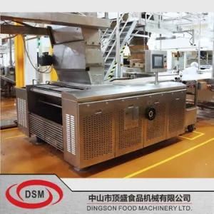 Dsm-Rotary Moulder-Biscuit Machine Modle: 259