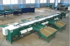 Automatically Conveying Double Line Fruits Classification Machine
