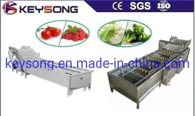 Fruit Vegetable Processing Line Washing Machinery