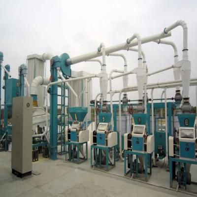 Maize Mill Machine for Zambia Market, Super White Maize Meal for Kenya
