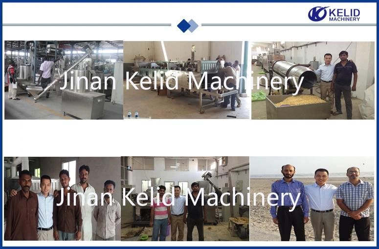 Ce Standard New Condition Core Filled Snack Making Machine