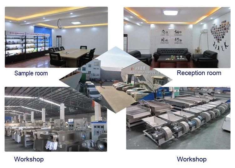 High Quality Automatic Machinery Floating Fish Feed Pellet Processing Line