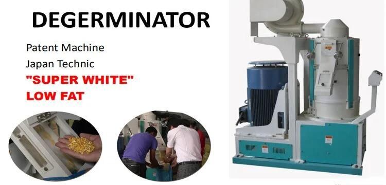 Maize Machine in Zambia Maize Flour Mill Plant