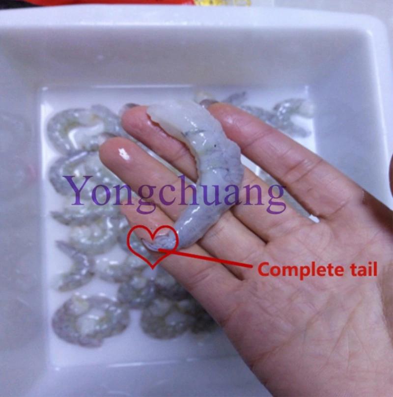 Remove Shrimp Shell Peeling Machine with High Capacity