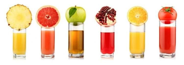 Mini Belt Filter Press for Fruit Juice