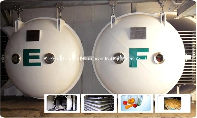 Industrial Fruit Freeze Drying Machine