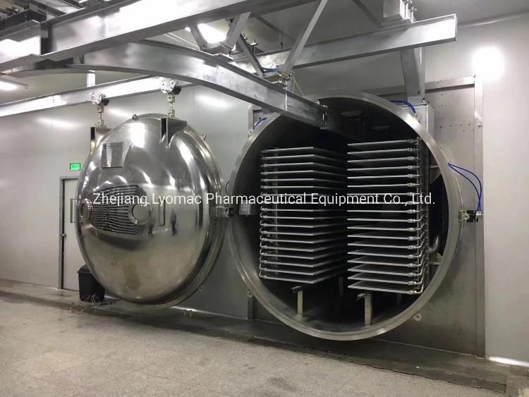 Freeze Dried Food Machine/Vegetable Fruit Meat Vacuum Freeze Dryer