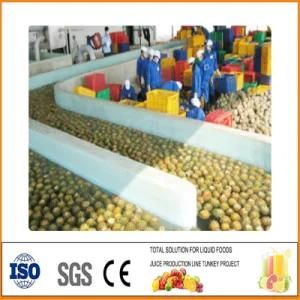 Fruit and Vegetalbe Paste Production Line Diced Tomato Production Line Fruit and Vegetalbe ...