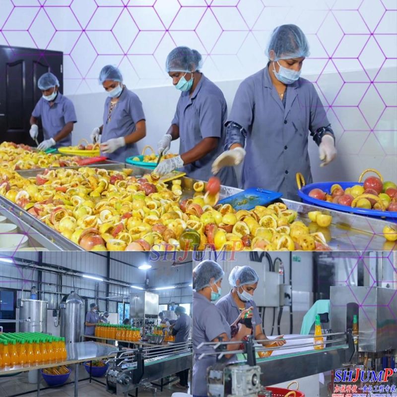 120 Tons Per Day Passion Fruit Processing Line Passion Fruit Juice Processing Line Passion Fruit Perserved Fruit Processing Line and Machines