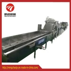 Bubble Washing Machine/ Vegetable and Fruit Processing Line
