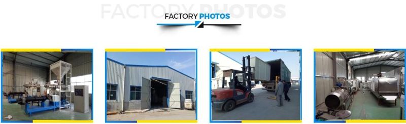 Hot Selling Frying Snacks Food Making Equipment Price