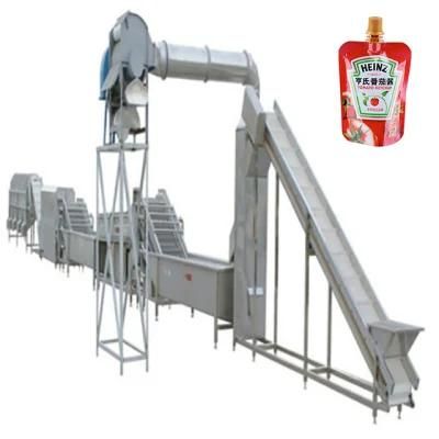 Ce Approved Automatic Tomato Processing Plant