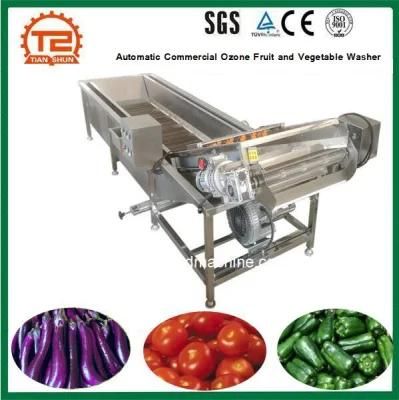 Automatic Commercial Ozone Fruit and Vegetable Washer