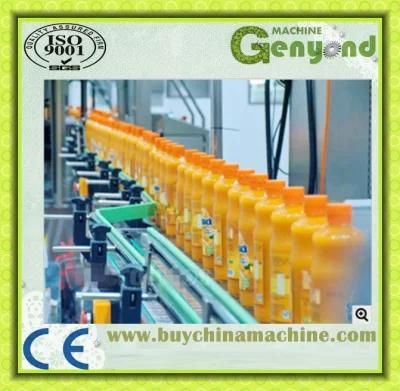 Orange Apple Fruit Juice Processing Line in China