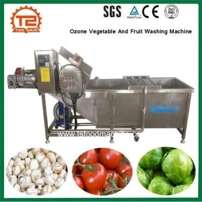 Commercial Ozone Vegetable and Fruit Washing Machine