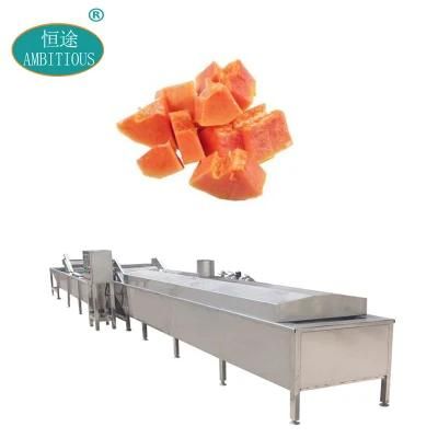 Conveyor Belt and Blanching Machinery Fruit Steam Blancher Machine