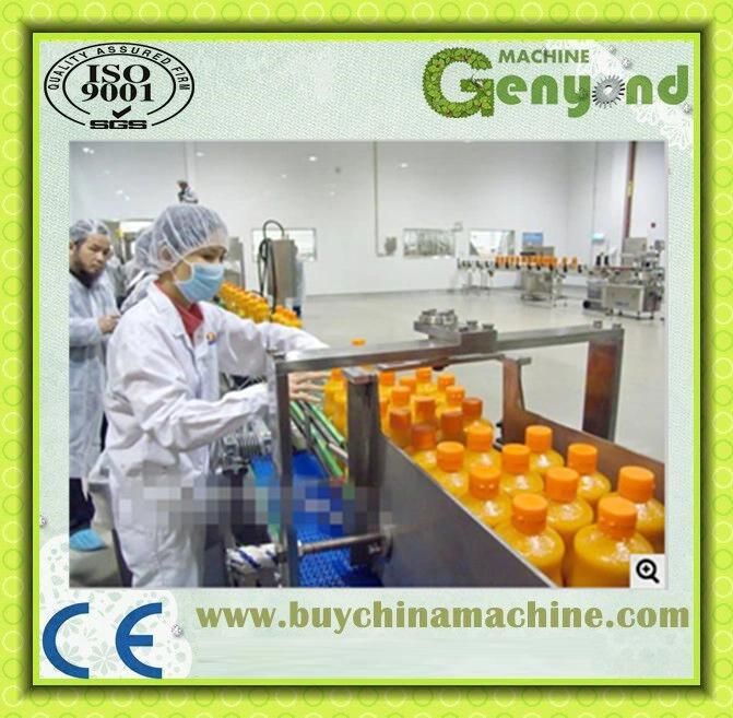 Automatic Fruit Juice Production Line