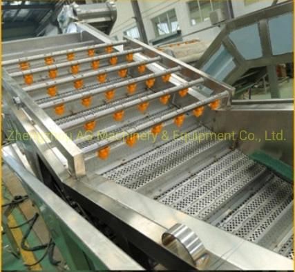 Fruit Leafy Vegetable Washing Machine Industrial Vegetable Fruit Processing Line