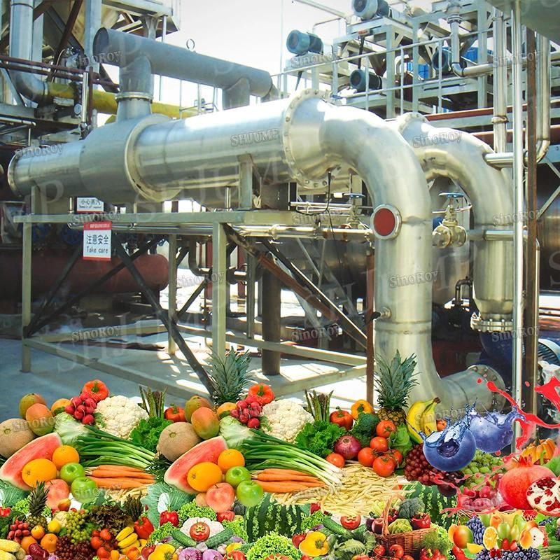 Papaya Juice Puree Jam Processing Line and Machines|Papaya Production Line and Machines|Papaya Production Plant and Machines