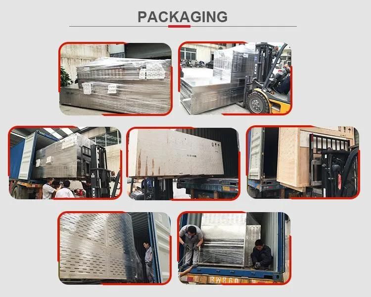 Conveyor Belt Chicken Powder Microwave Drying Sterilization Machine