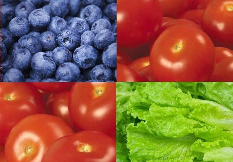 Food Sterilizer Ozone Vegetable Fruits Sterilization Cleaning Washer Machine