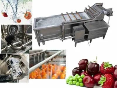Industrial Ozone Vegetable and Fruit Washing Machine&#160;