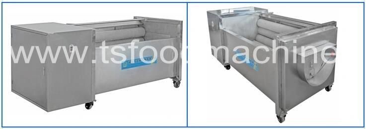 Brush Washing and Peeling Machine Special for Fruit and Vegetables Washer with Ce