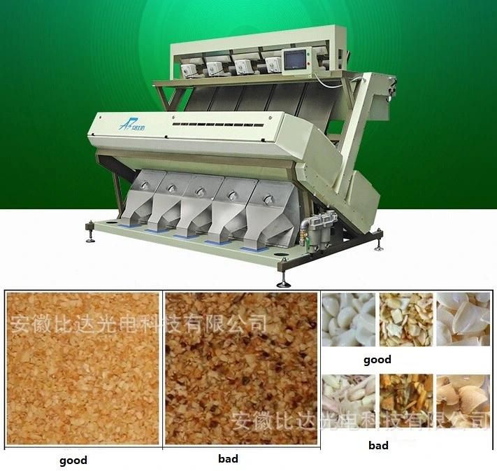Cheapest Food Processing Machinery Garlic Selecting Machine Garlic Color Sorter