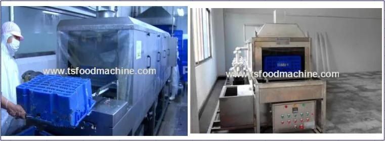 Big Food Factory Use Fruit and Vegetable Plastic Tray Washing Machine