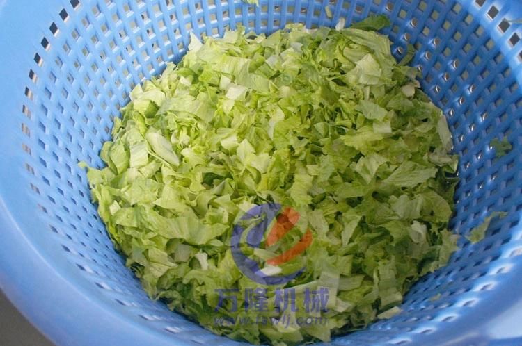 Automatic Leaf Vegetable Fruit Luttuce Salad Bubble Washing Cutting Processing Line
