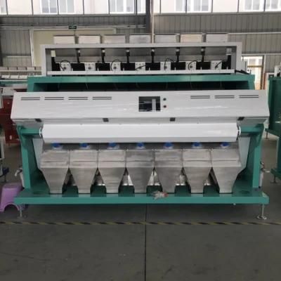 High Performance Agricultural Chili Seed Color Sorter Machine Manufacturer