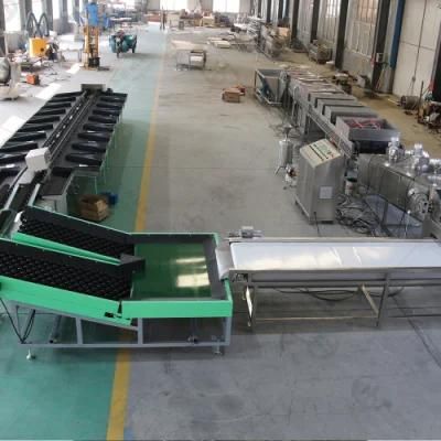 Industrial Avocado Potato Washing Waxing Grading Sorting Line with CE Certification