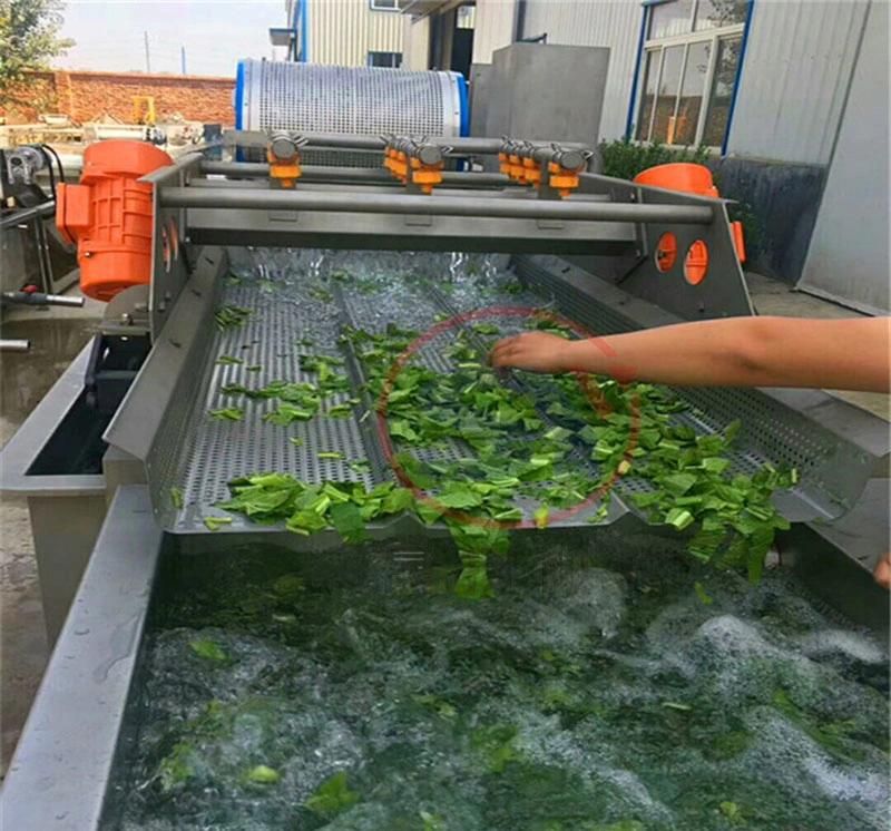 2020 Automative Food Fruit Vegetable Bubble Washing Conveying Machine