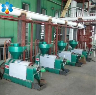 Palm Kernel Oil Making Machine,