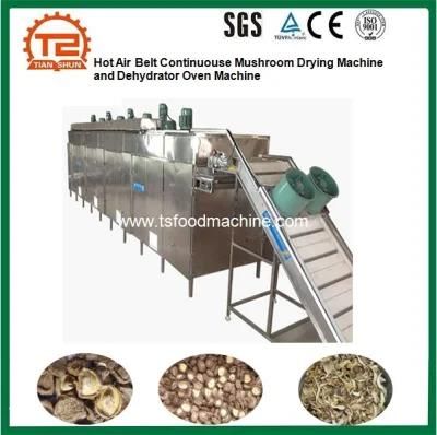 Hot Air Belt Continuouse Mushroom Drying Machine and Dehydrator Oven Machine