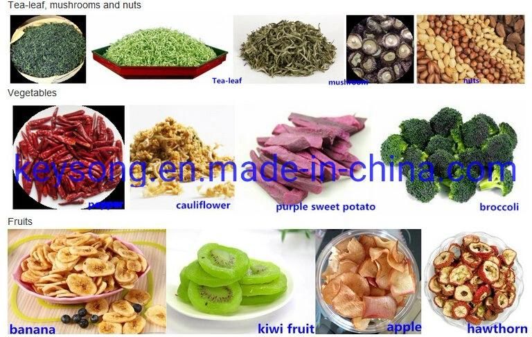 Leading Manufacturer Food Grade Fruits and Vegetables Drying Machine