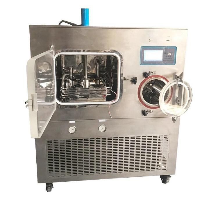 China Stainless Steel Lyophilization Machine Lyophilizer Fruit Vacuum Fd-50 Freeze Dry Machine