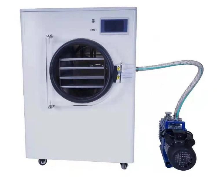 New Arrival Home Use Freeze Dryer Laboratory Lyophilizer Fd-1 Freeze Dryer Machine