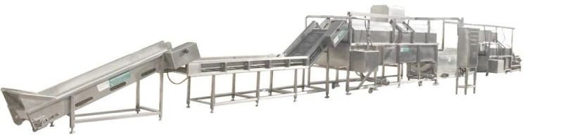 Ginger Rotary Washer Ginger Drum Washing and Cleaning Machine