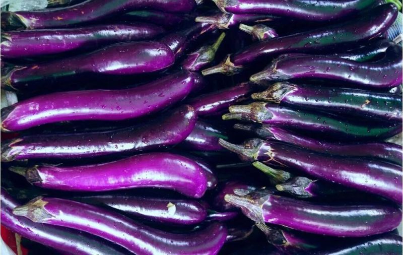 Conveyor Continuous Deep Fryer for Fried Eggplant