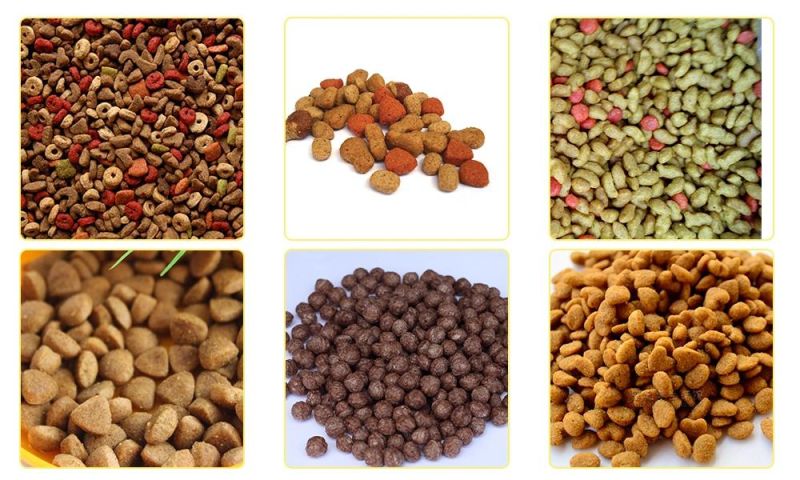 Multi-Functional Wide Output Range Dry Dog Food Processing Line in China