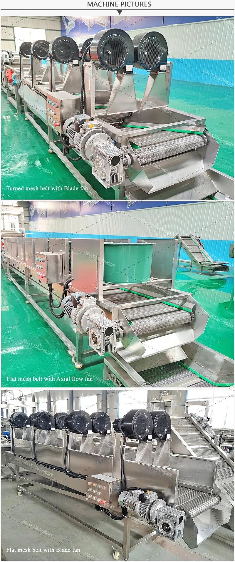 Low Energy Consumption Oil Removing Machine for Fried Food Water Removing Machine for Mango Apple Lychee Blueberry