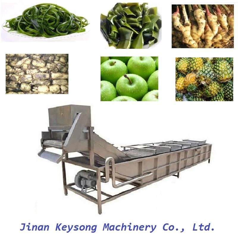 Restaurant Food Fruit Vegetable Processing Washing Sorting Grading Machinery