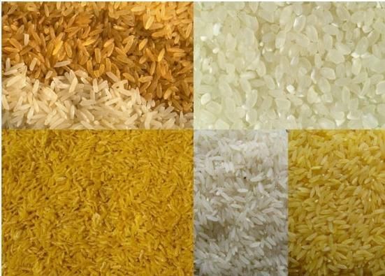 Best Quality Instant Rice Maker with Good After Sales