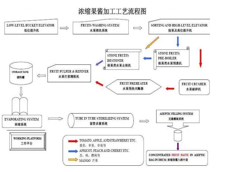 Pulp Processing Machine (strawberry processing line, jam processing plant)