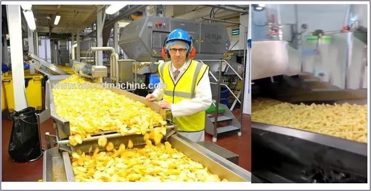 Potato Processing Equipment French Fries Potato Chips Production Line French Fries Processing Equipment
