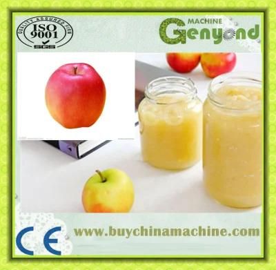Apple Mango Jam and Paste Production Line