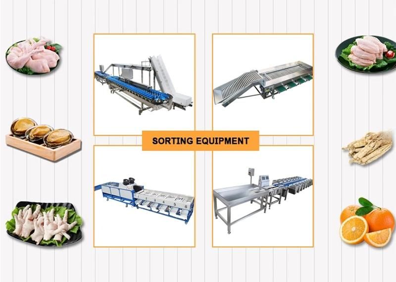 Low Price Commercial Industrial Automatic Fruit Sorting Machine