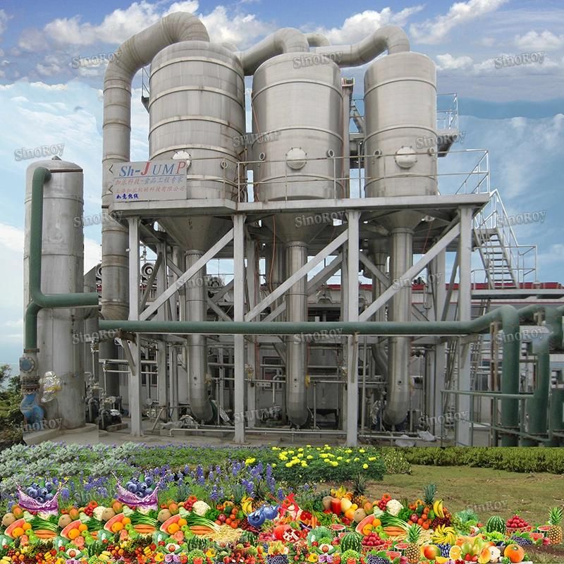 Okra Sauce Processing Line/Okra Sauce Production Line/Okra Sauce Processing Machines