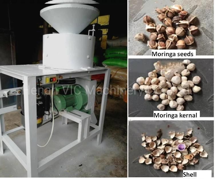 New Type Moringa Seeds Cracker